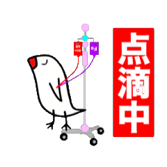 Ayu Odagiri_20251224110323