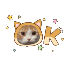 megu-mii_20251224135717