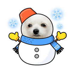 purin_20251224000700