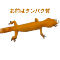 TAKUMI_20251223230934