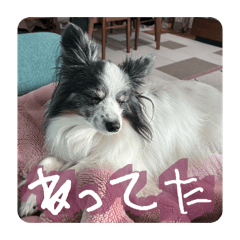 vonurigosso_20251223230848