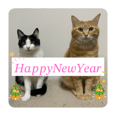 Hogonyako_20251224010635