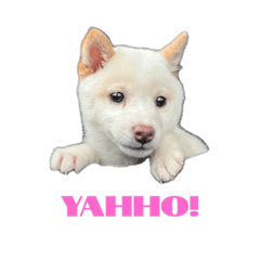 monmon_20251221223351