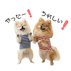 nilanila_20251222000919