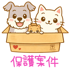 Cute Stickers for Fangirling & Daily Use