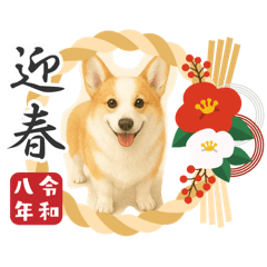 pinpiki_20251223200558