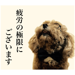 Puamelia_20251223220711