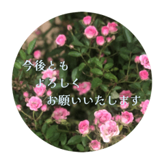 partyroomHANA_20251224033742