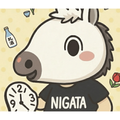 POLCO_20251223233436