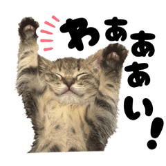 yukariena(busu)_20251224052536