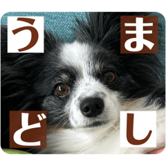 vonurigosso_20251223234010