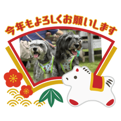 bonkiku1226_20251223234640