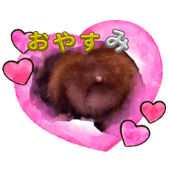 c-chaman20251223233824