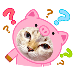 Siriporn_20251223232012