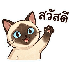 Mr.Mick_20251224000046