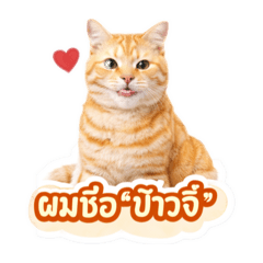 Manager_20251223223736