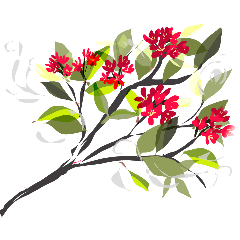 flowers & friends by donn.