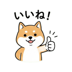 Relaxed Shiba Inu Daily Chat