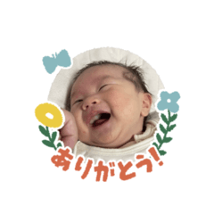 Ayumi_20251224080114