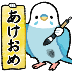 2026年末年始★セキセイインコ★おらの94-1