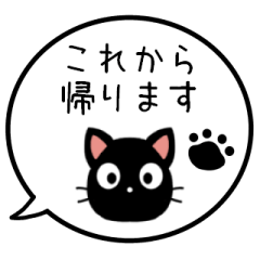 BLACK CAT/Everyday life