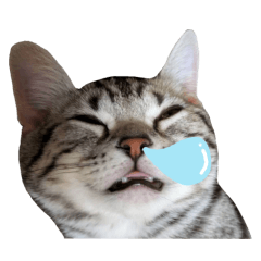 Kotaro's Cute Daily Life Stickers