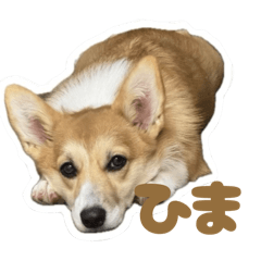 omochi_20251224093732