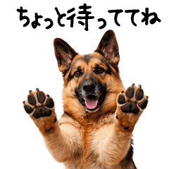 German Shepherd Family Messages