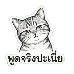 Mr.Mick_20251224025622