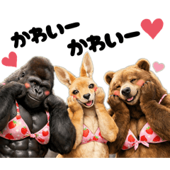 nnk&is_20251222073033