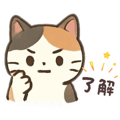 mam906_20251224104431