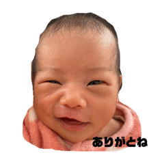 Momomo_20251224103827