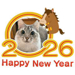 YUKIKO_20251224105343