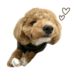 telto_20251224020155