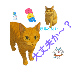 kimura_20251224022712