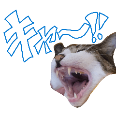 Lobster_20251224021113