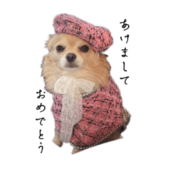 ayumi_20251224120307