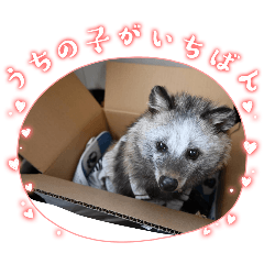 nozomi_20251224054920