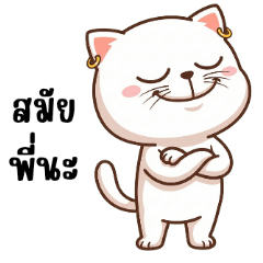 Ngaew ngaew cat cute cute motion 2