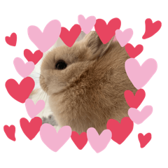 maimai_20251224083853