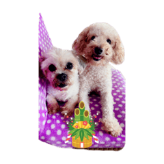 Mei Shimabukuro_20251224084709