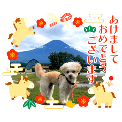 CHiKUWA_20251224084054