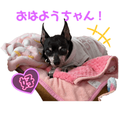 Tetsumaru_20251224094407