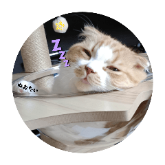 yumiko_20251224095349