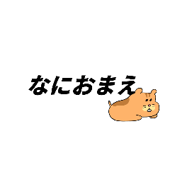 kocchan_20251224094704