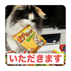 odeture_20251224100816