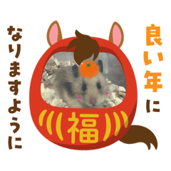 ringo_20251224101322