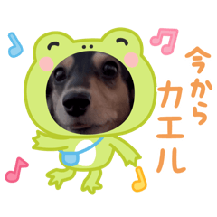 komachi Land_20251224113641