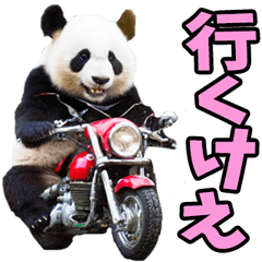 鳥取弁☆パンダ