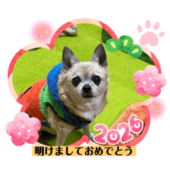 cocoro_20251224115357